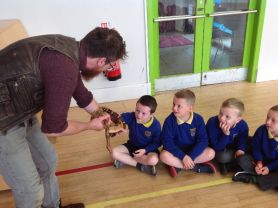 Casey brought his Creatures to Portrush Primary!