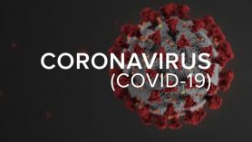 What should I do if I think I have Covid-19?