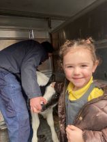 Our visitors from the farm 🐄 