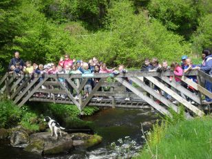 P3 at sunny Watertop Farm